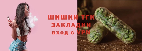 спиды Горняк