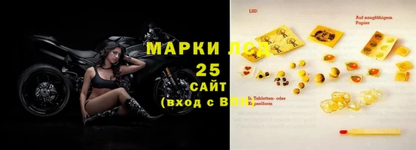 спиды Горняк