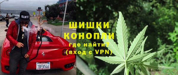 спиды Горняк