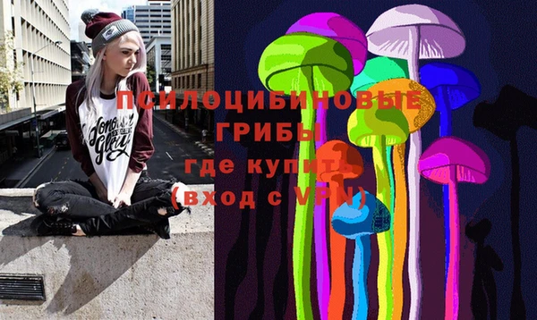 apvp Пенза
