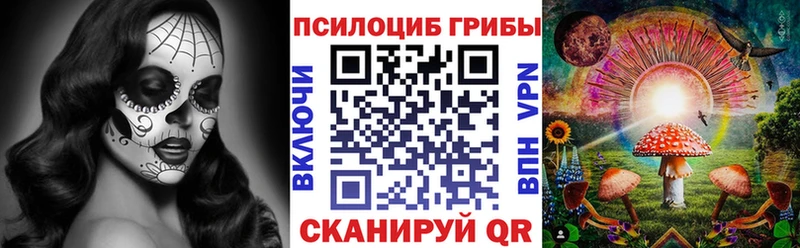 Купить  Серов  Галлюциногенные грибы Psilocybe 